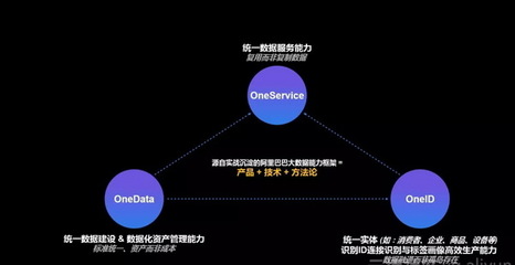 阿里数据科学家一次讲透数据中台与大数据服务