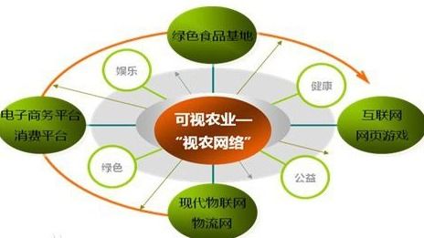 VIE架构与大数据服务 跨境融资与数据驱动的双轨演进